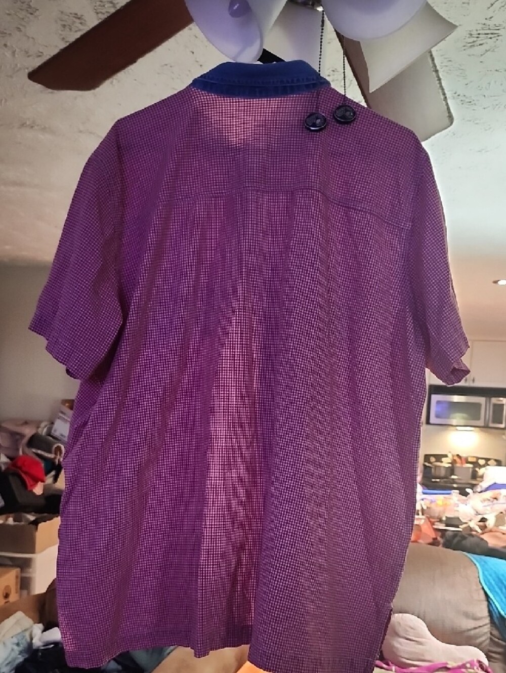 Red Gingham Short Sleeve Button-Up Shirt with Floral Embroidery - Picture 4 of 6